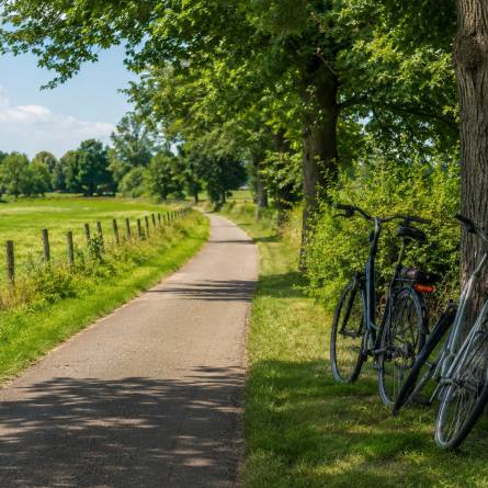 3791
