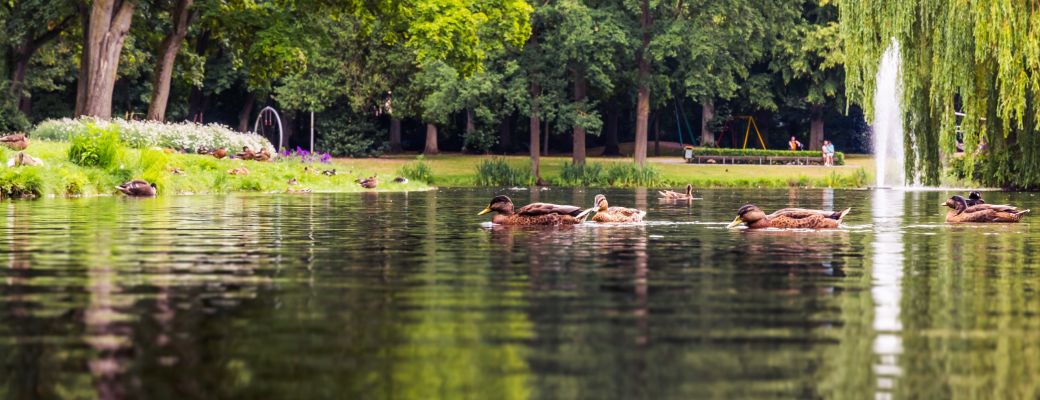Gronau Park Stadtpark 03